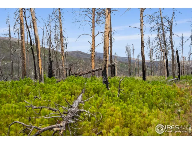 $115,000 | 1025 Crystal Mountain Road, Bellvue, CO 80512