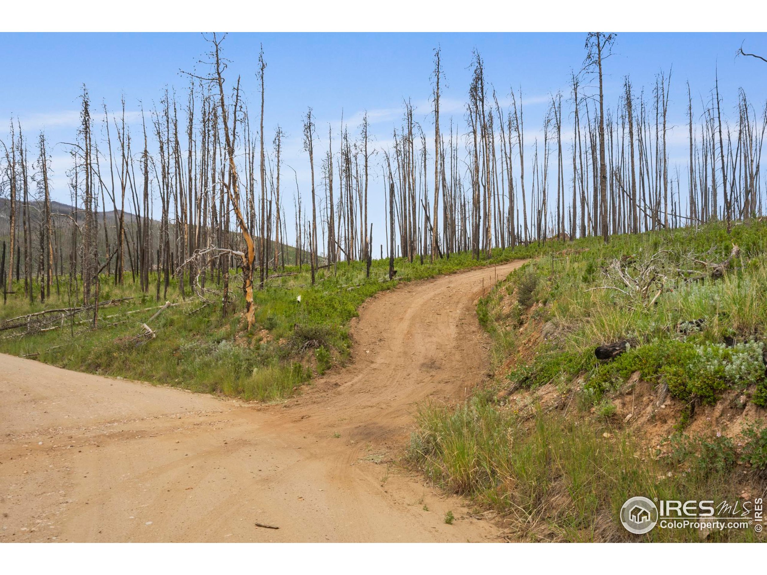 1025 Crystal Mountain Road Bellvue, CO 80512 - Photo 12 of 16