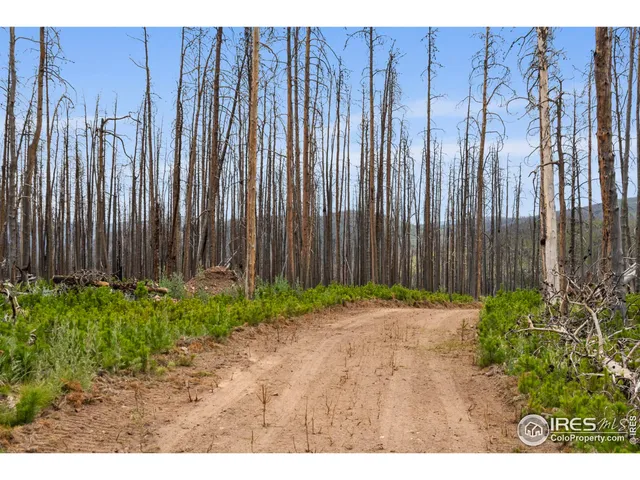 $115,000 | 1025 Crystal Mountain Road, Bellvue, CO 80512