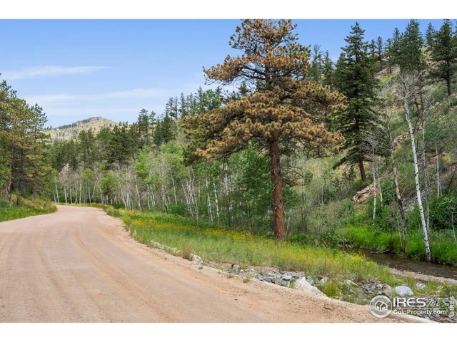 $115,000 | 1025 Crystal Mountain Road, Bellvue, CO 80512