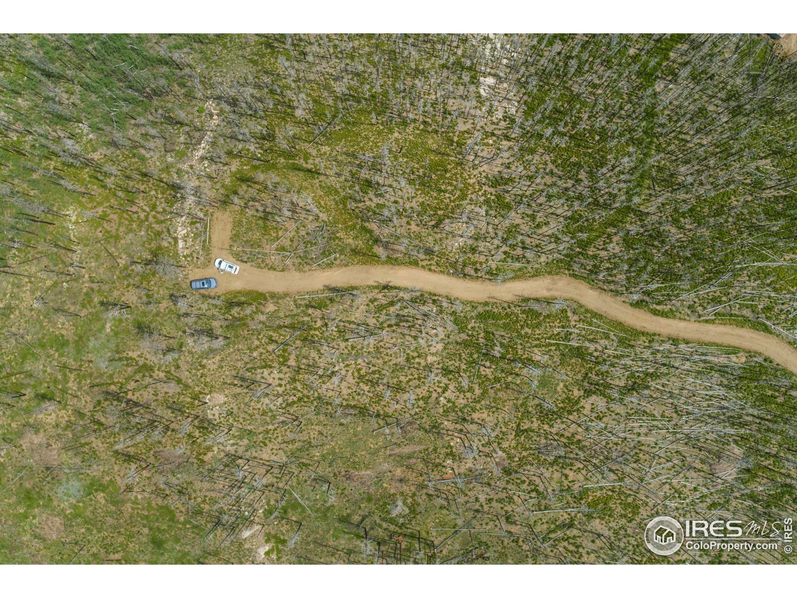 1025 Crystal Mountain Road Bellvue, CO 80512 - Photo 2 of 16