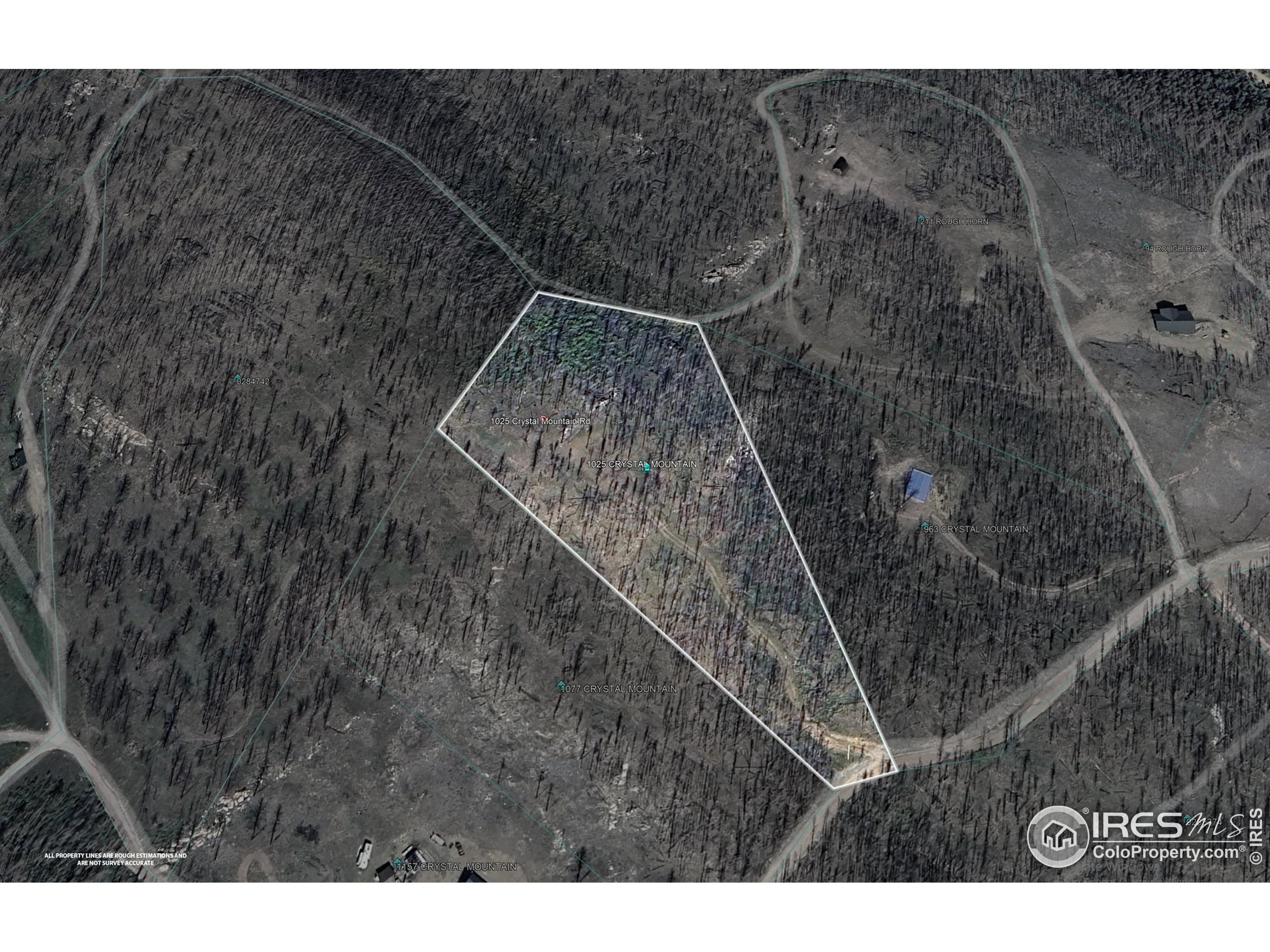 1025 Crystal Mountain Road Bellvue, CO 80512 - Photo 4 of 16