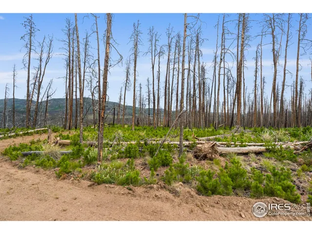 $115,000 | 1025 Crystal Mountain Road, Bellvue, CO 80512