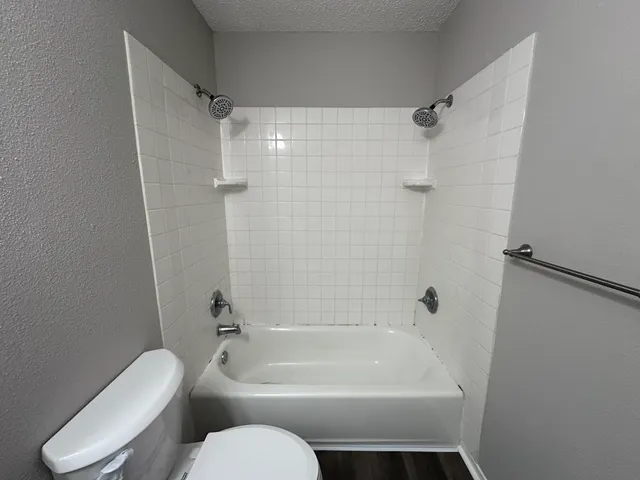 a bathroom with a toilet and a bathtub