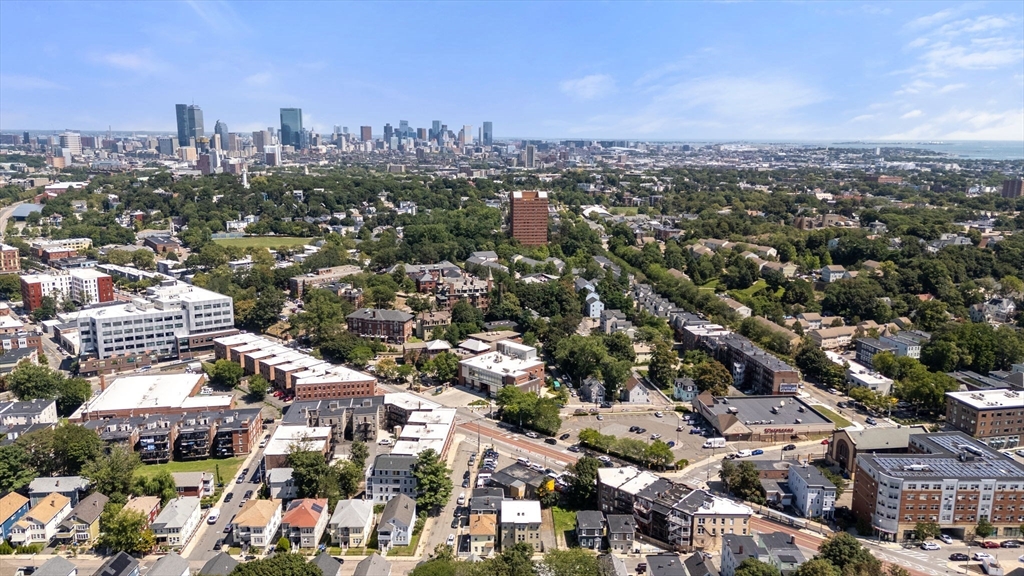 39-41 West Walnut Park Boston, MA 02119 - Photo 19 of 20