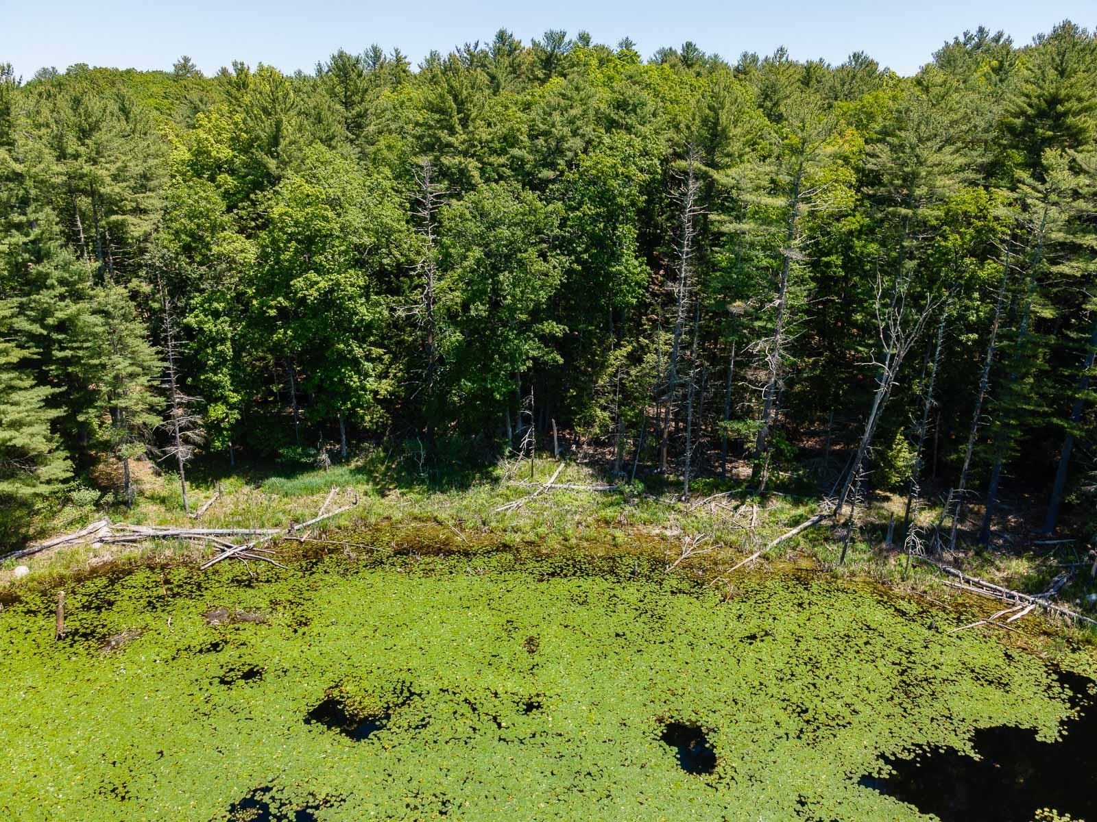 88 Durham Point Road Durham, NH 03824 - Photo 8 of 18