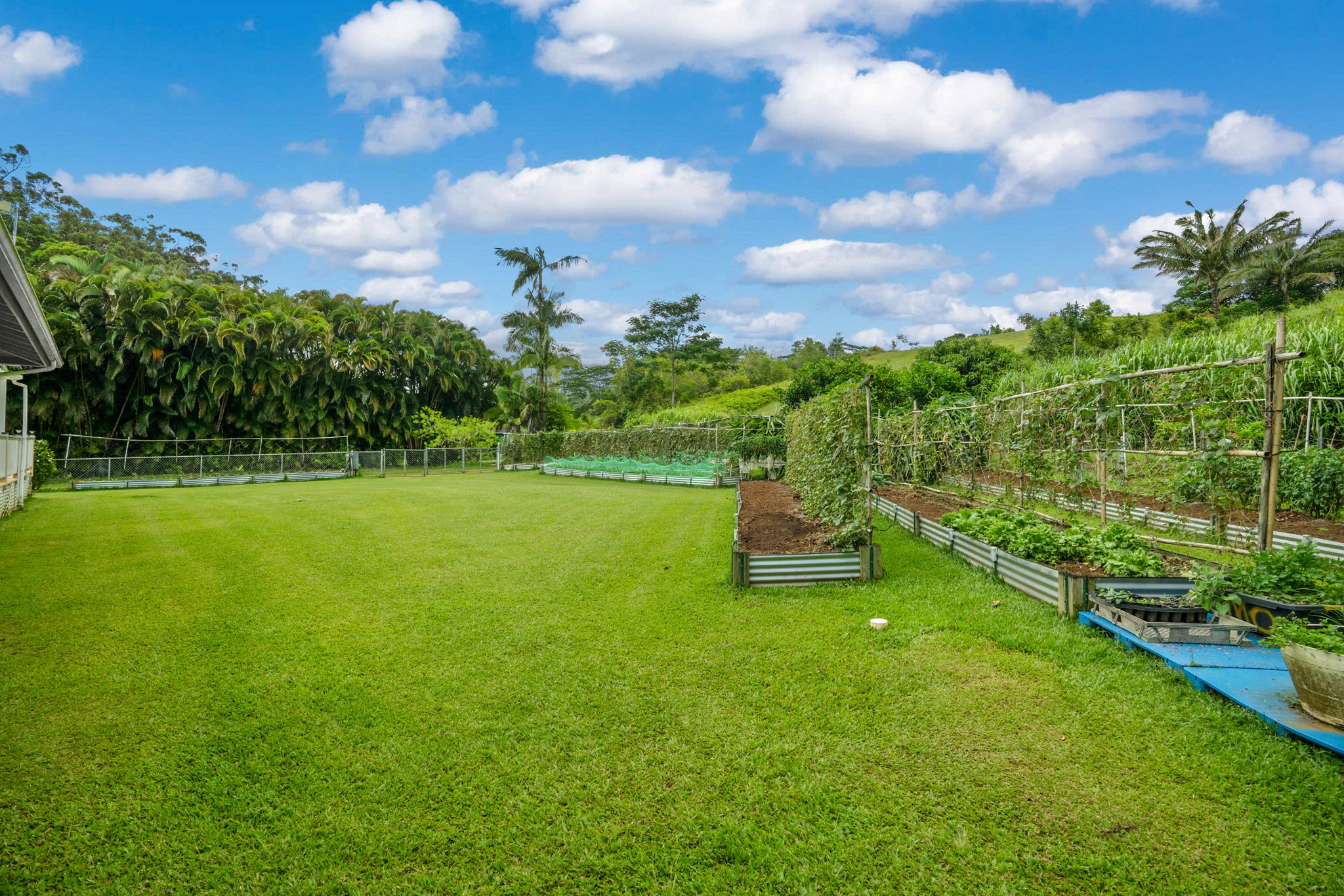 6456 Kipapa Road Kapaa, HI 96746 - Photo 8 of 29
