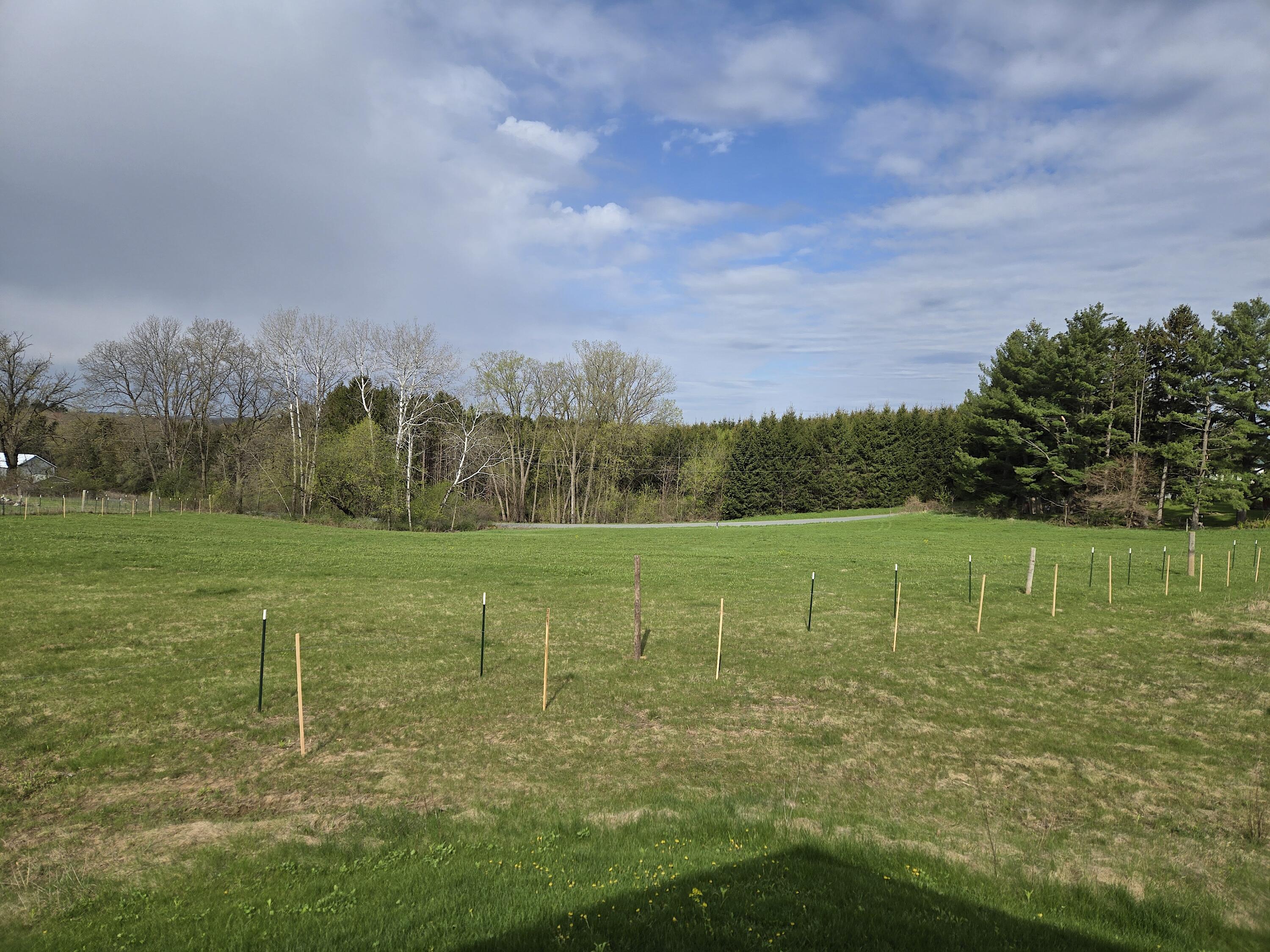 0 Nessett Road Westby, WI 54667 - Photo 5 of 5 20260430_092702