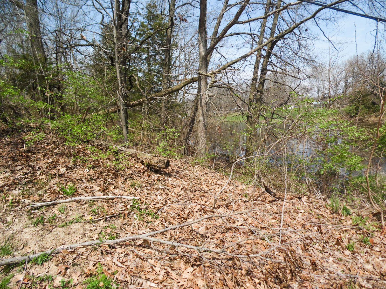 0 Lake Ka Ho Road Mount Olive, IL 62069 - Photo 4 of 6
