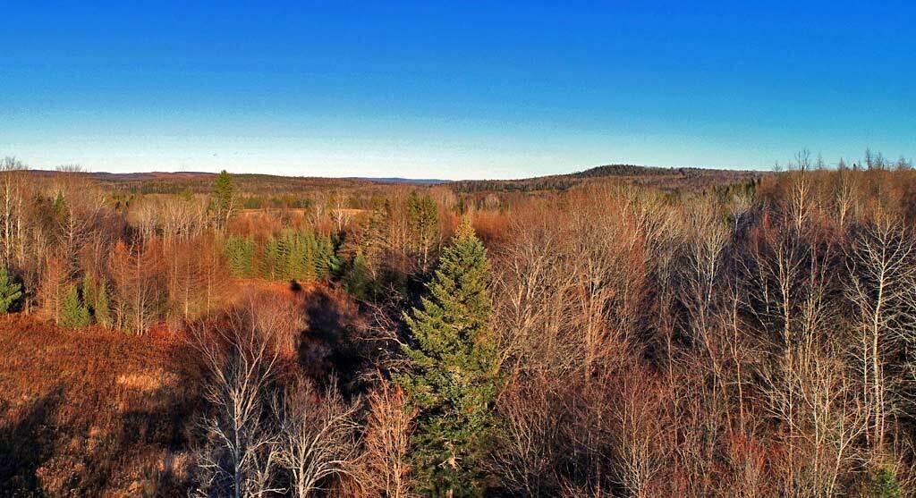 Lot 10 Buckley Road Bridgewater, ME 04735 - Photo 18 of 41 bridgewater-me-land-sunset