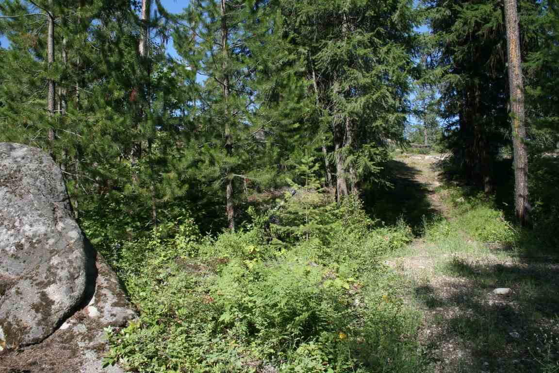 0 Granite Road Newport, WA 99156 - Photo 1 of 20