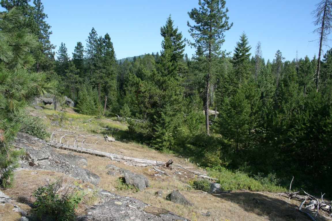 0 Granite Road Newport, WA 99156 - Photo 12 of 20