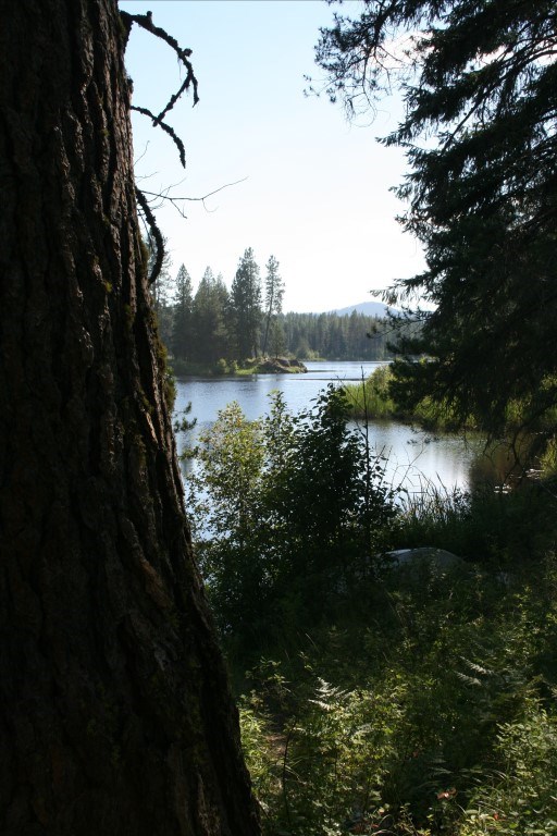 0 Granite Road Newport, WA 99156 - Photo 13 of 20