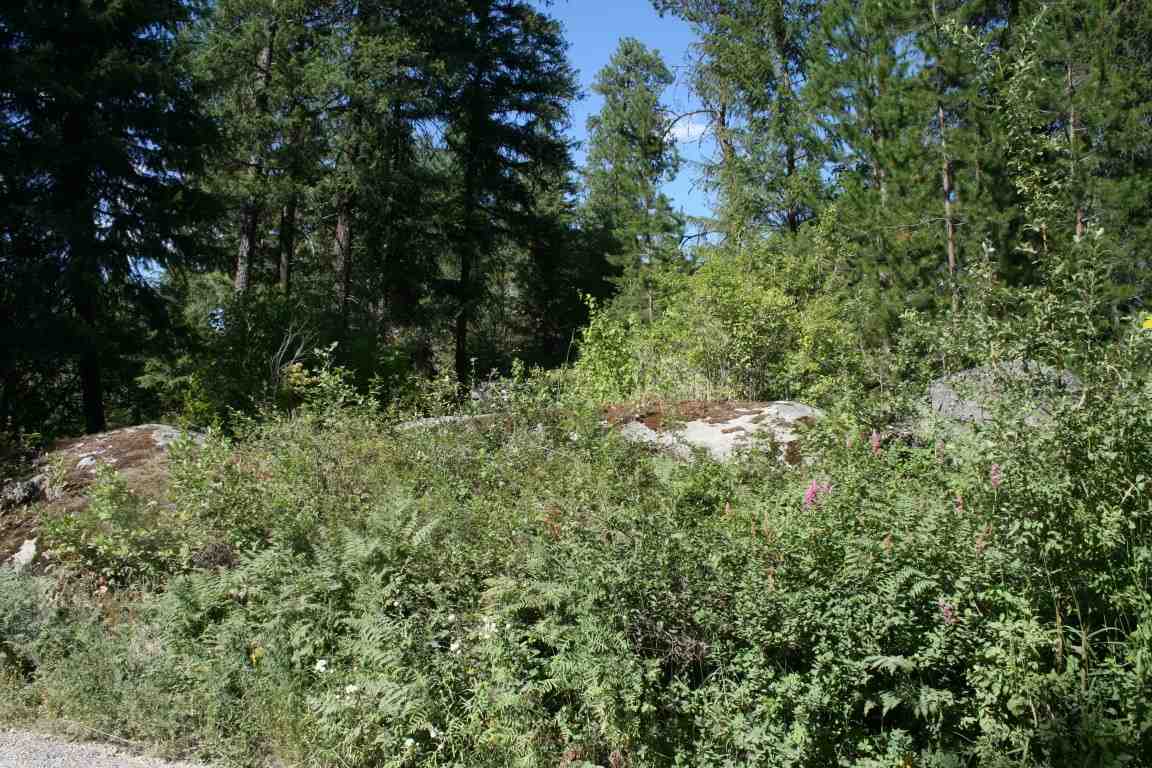 0 Granite Road Newport, WA 99156 - Photo 3 of 20