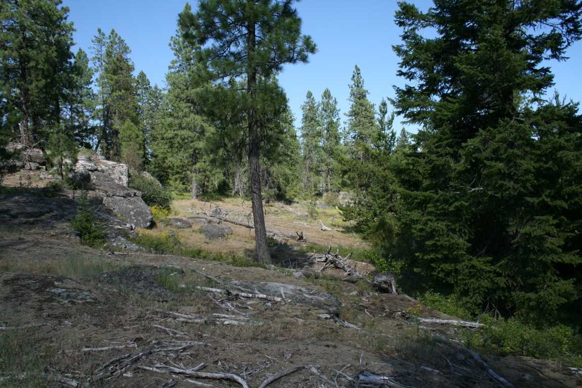 0 Granite Road Newport, WA 99156 - Photo 7 of 20