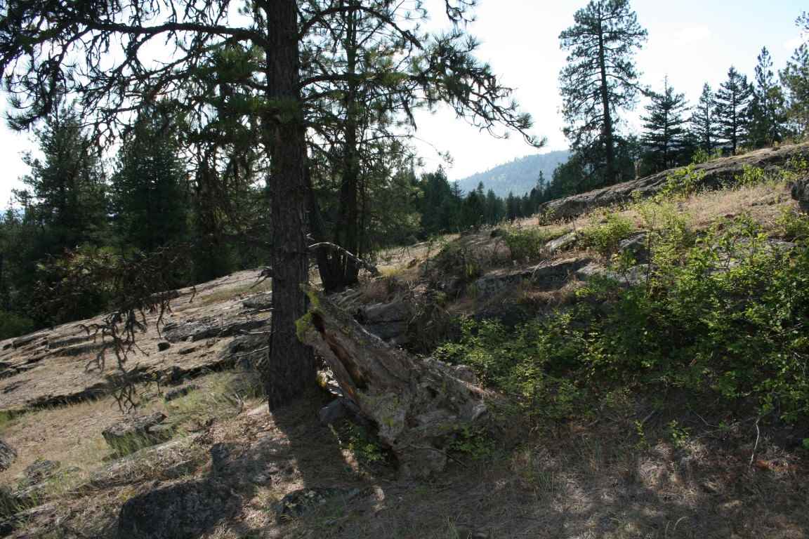 0 Granite Road Newport, WA 99156 - Photo 8 of 20
