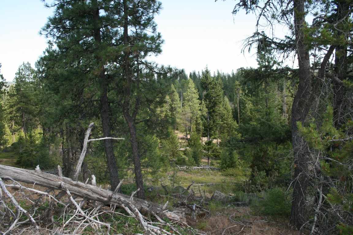 0 Granite Road Newport, WA 99156 - Photo 9 of 20