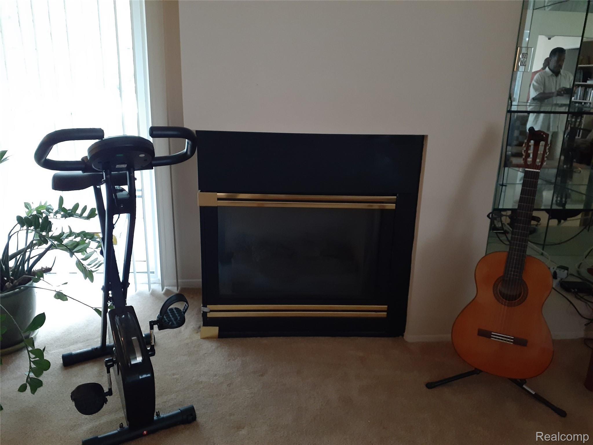 27420 Evergreen Road, Unit 34 Southfield, MI 48076 - Photo 14 of 20 evergreen gas fireplace.jpg