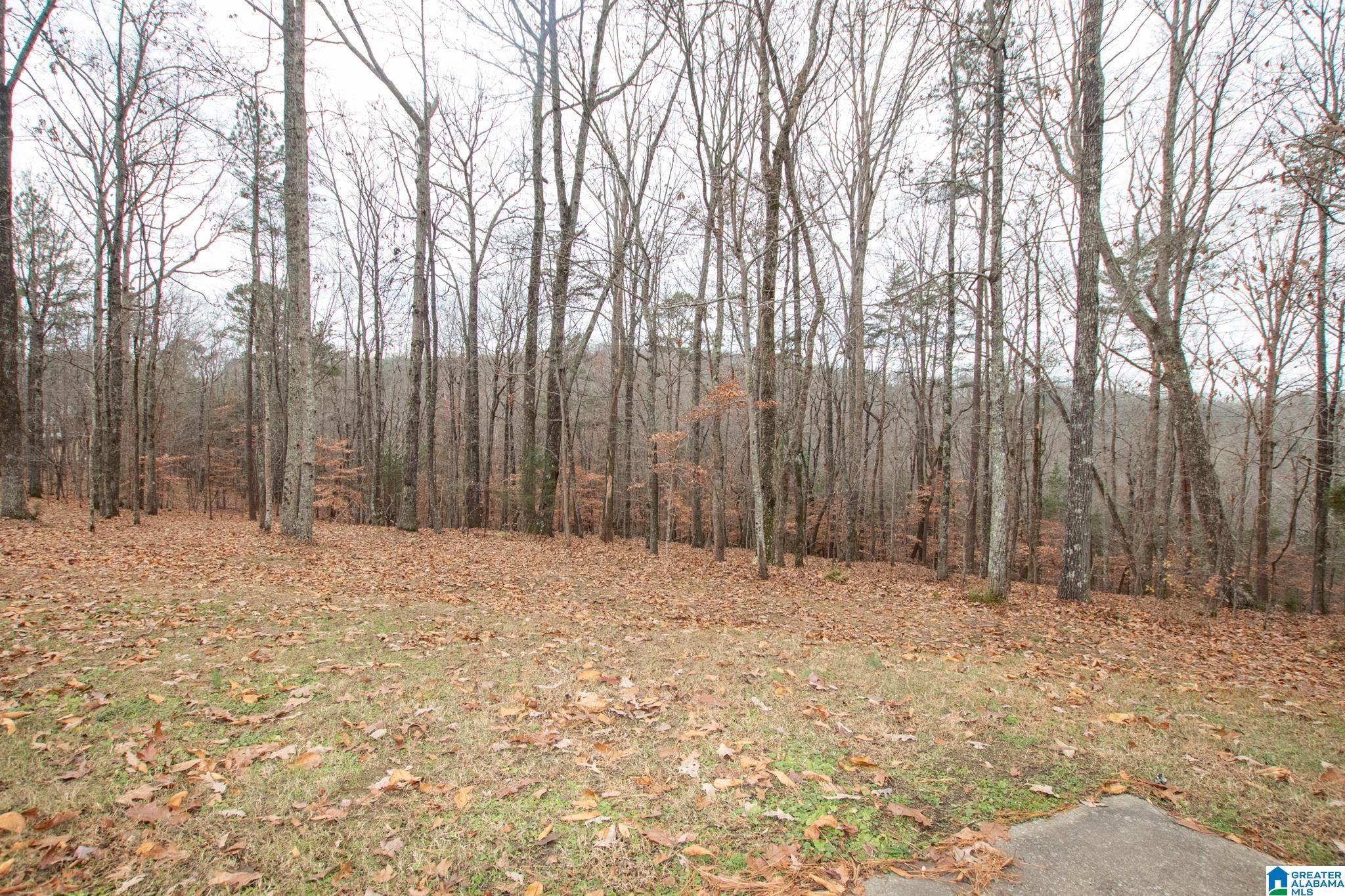 199 Heritage Ridge Springville, AL 35146 - Photo 30 of 30
