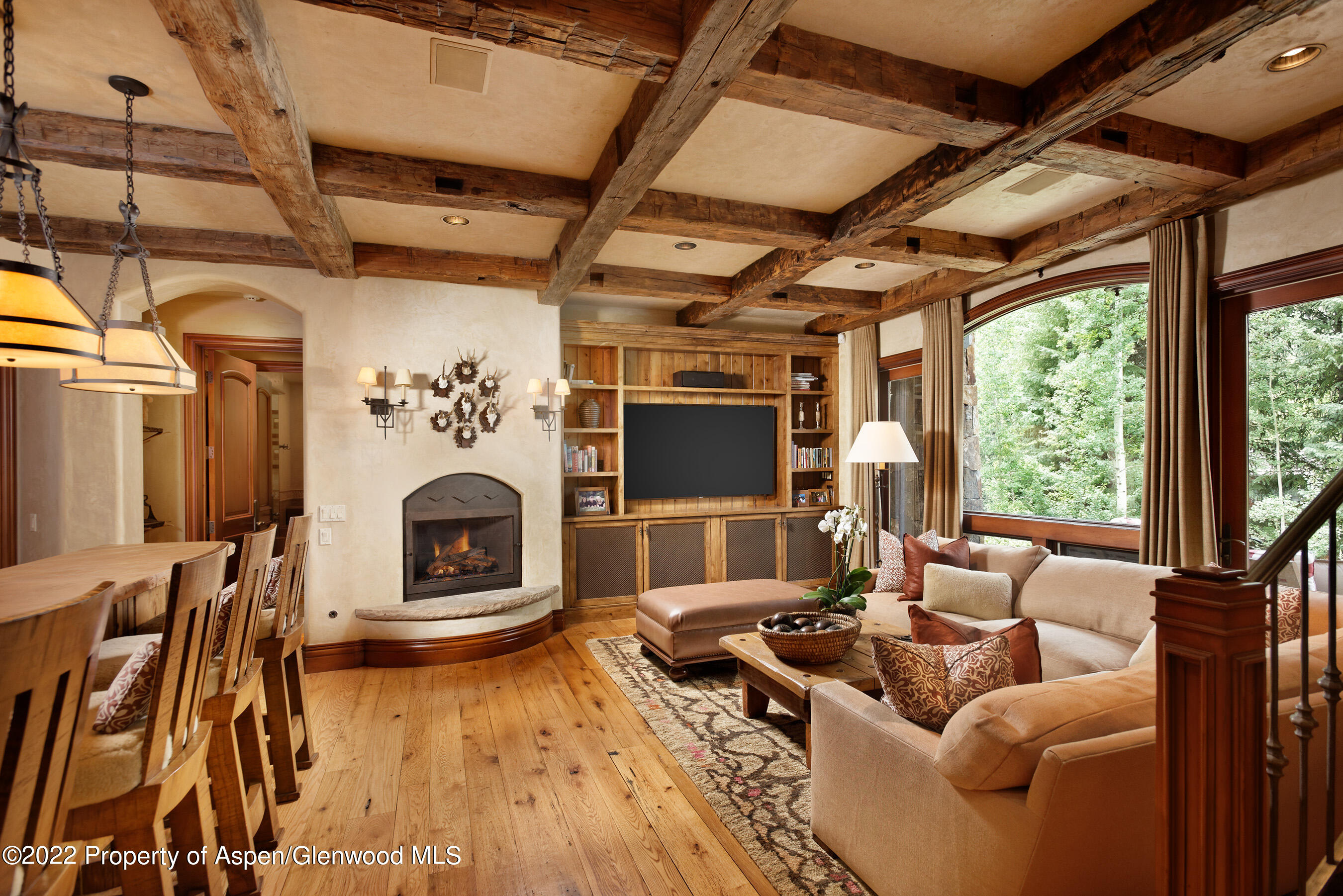 1225 Riverside Drive Aspen, CO 81611 - Photo 11 of 21 a living room with furniture and a fireplace