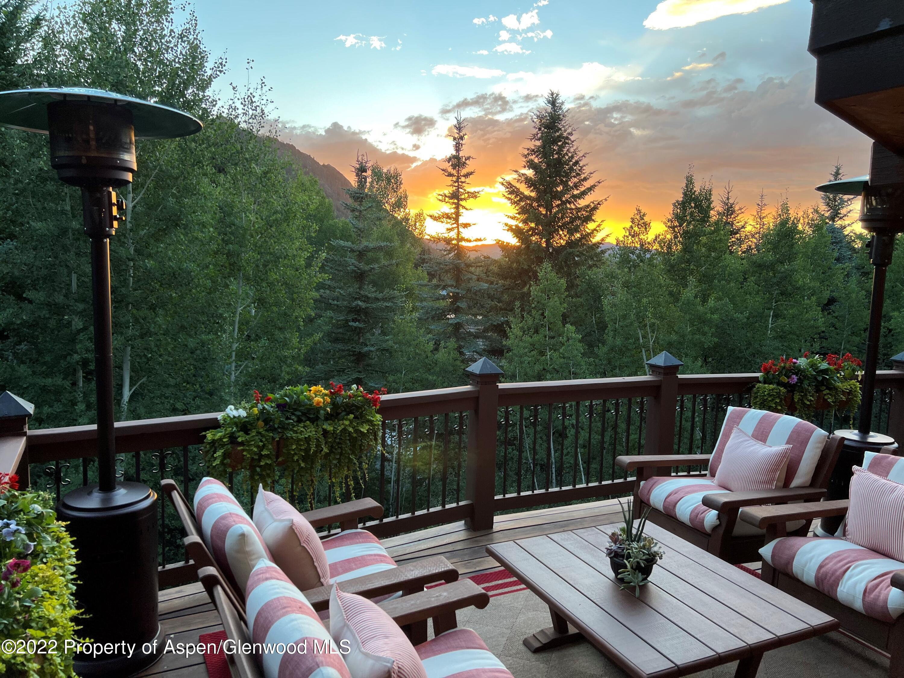 1225 Riverside Drive Aspen, CO 81611 - Photo 21 of 21 a view of balcony with seating space and trees