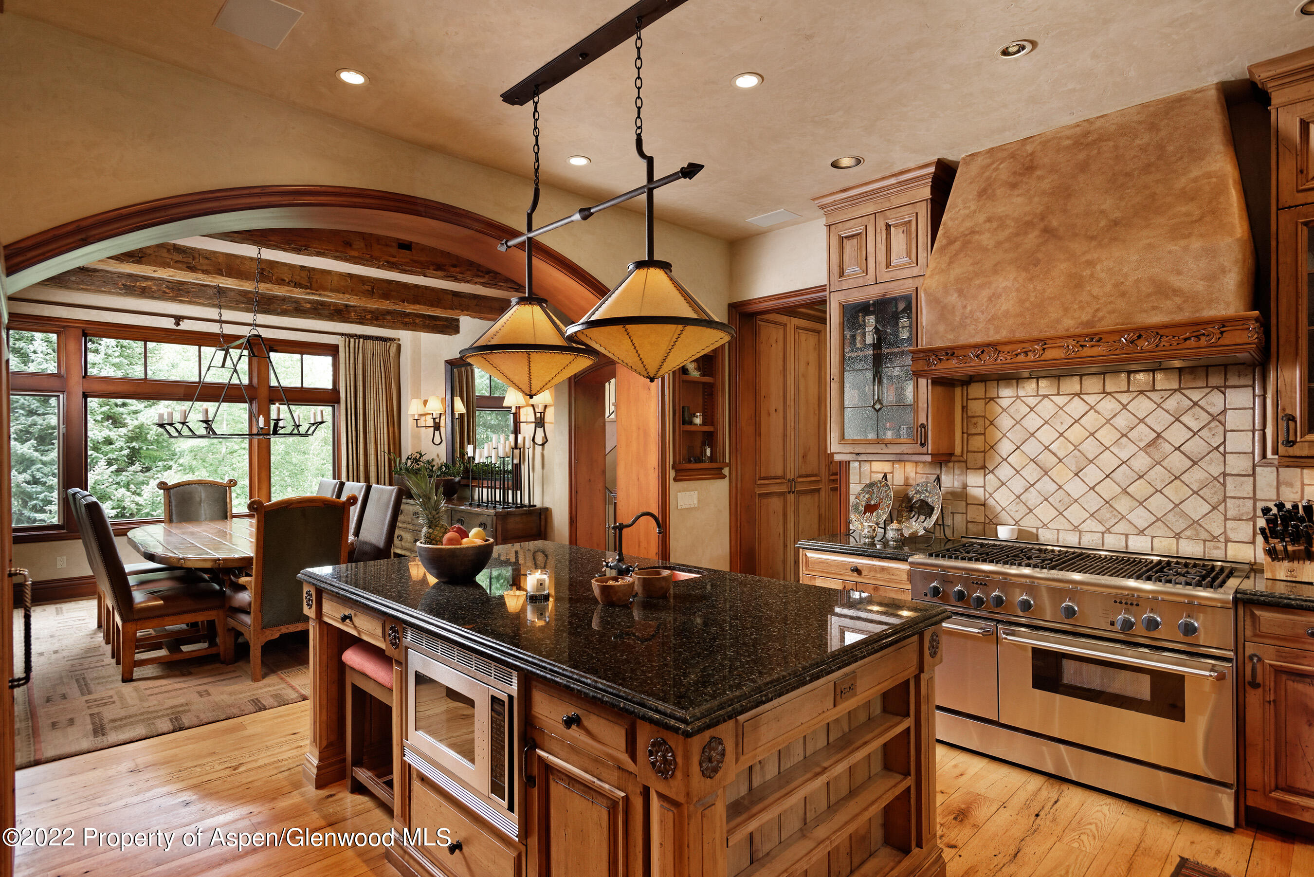 1225 Riverside Drive Aspen, CO 81611 - Photo 6 of 21 a kitchen with stainless steel appliances granite countertop a sink a stove and a wooden floor