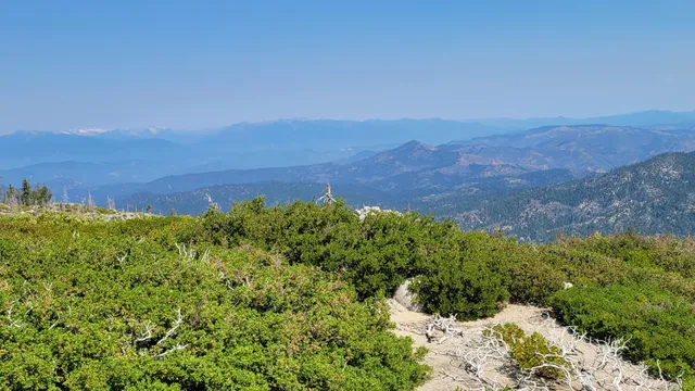 $40,000 | 0 East County Line Road, Igo, CA 96047