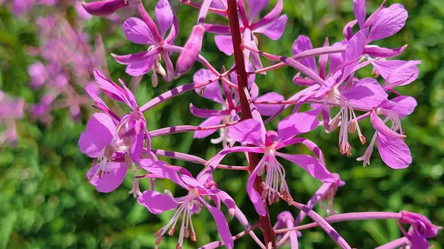 $40,000 | 0 East County Line Road, Igo, CA 96047