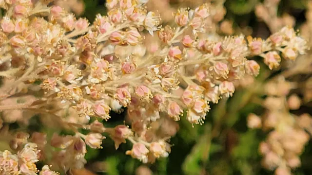 $40,000 | 0 East County Line Road, Igo, CA 96047