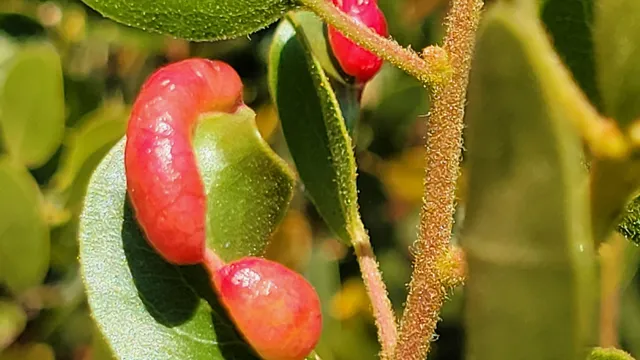 $40,000 | 0 East County Line Road, Igo, CA 96047