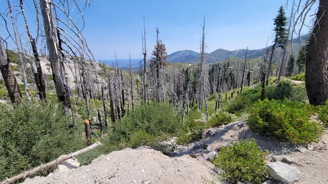 $40,000 | 0 East County Line Road, Igo, CA 96047