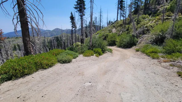 $40,000 | 0 East County Line Road, Igo, CA 96047