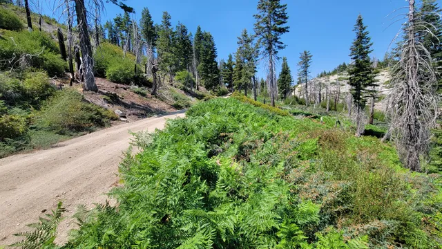 $40,000 | 0 East County Line Road, Igo, CA 96047