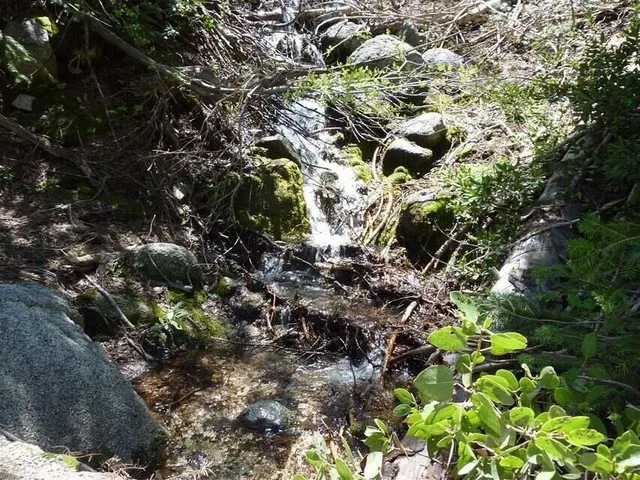 $40,000 | 0 East County Line Road, Igo, CA 96047