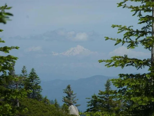 $40,000 | 0 East County Line Road, Igo, CA 96047