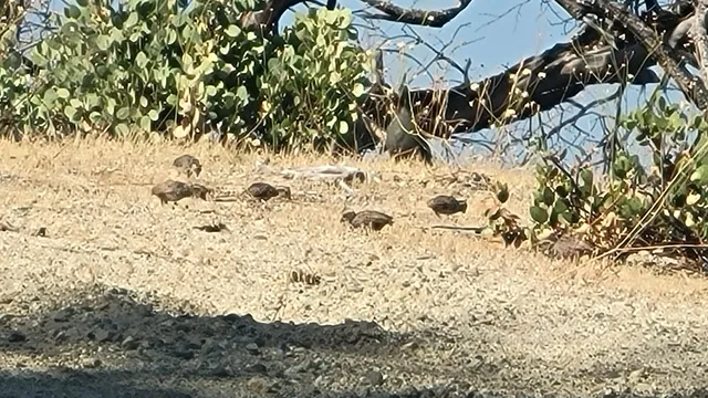 $40,000 | 0 East County Line Road, Igo, CA 96047