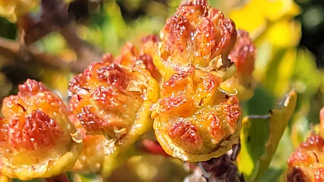 $40,000 | 0 East County Line Road, Igo, CA 96047