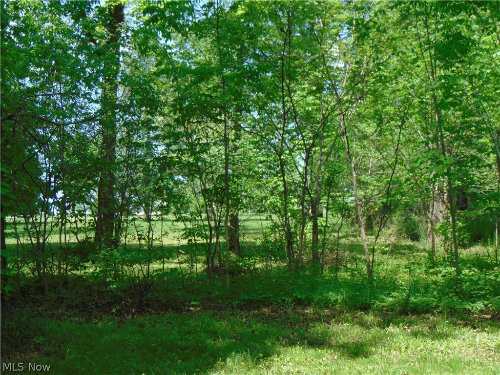 V/l (a) V/l (a) Middle Ridge Road Amherst, OH 44001 - Photo 2 of 8