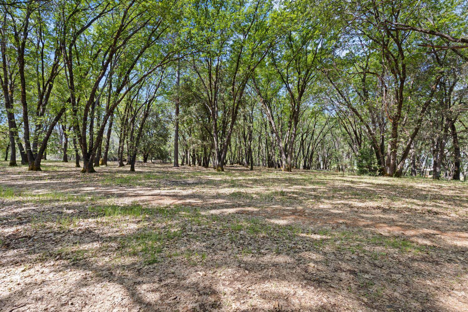 1040 Gladycon Road Colfax, CA 95713 - Photo 44 of 89