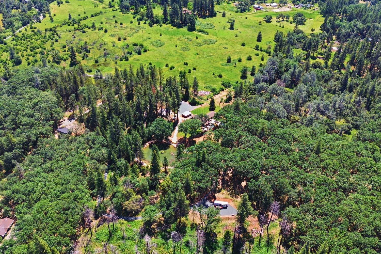 1040 Gladycon Road Colfax, CA 95713 - Photo 5 of 89