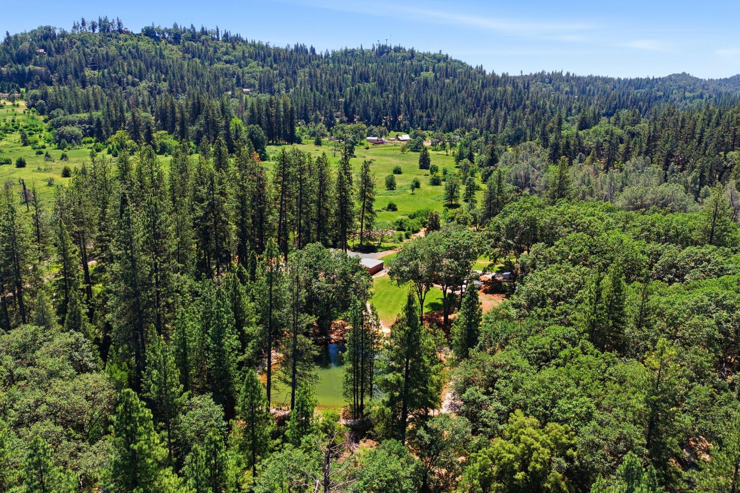 1040 Gladycon Road Colfax, CA 95713 - Photo 81 of 89