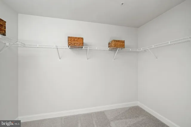 a view of storage and utility room with racks on the wall
