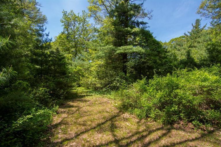 0 Ost -w Barn Road West Barnstable, MA 02668 - Photo 2 of 8 a view of a lush green forest