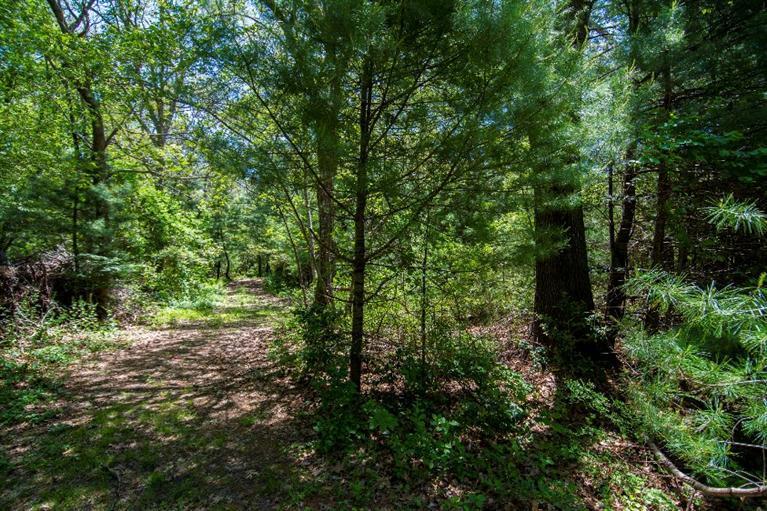 0 Ost -w Barn Road West Barnstable, MA 02668 - Photo 3 of 8 a view of a forest with trees