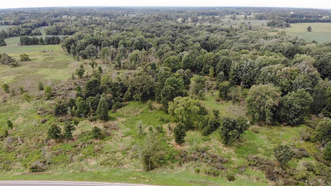 0 South State Road Owosso, MI 48867 - Photo 4 of 13