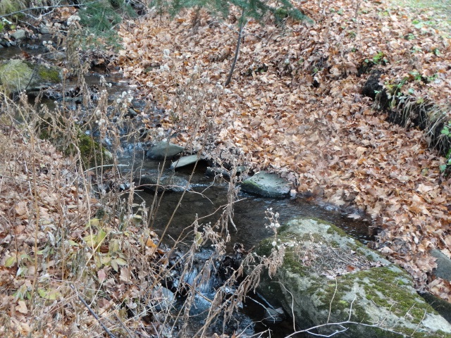 13 Toad Pond Road Morgan, VT 05853 - Photo 8 of 27 Gallery Image 8