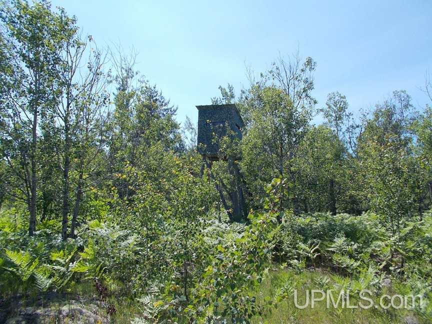 Tbd 155 Acres Off Reservoir Dam Road Seney, MI 49883 - Photo 9 of 23