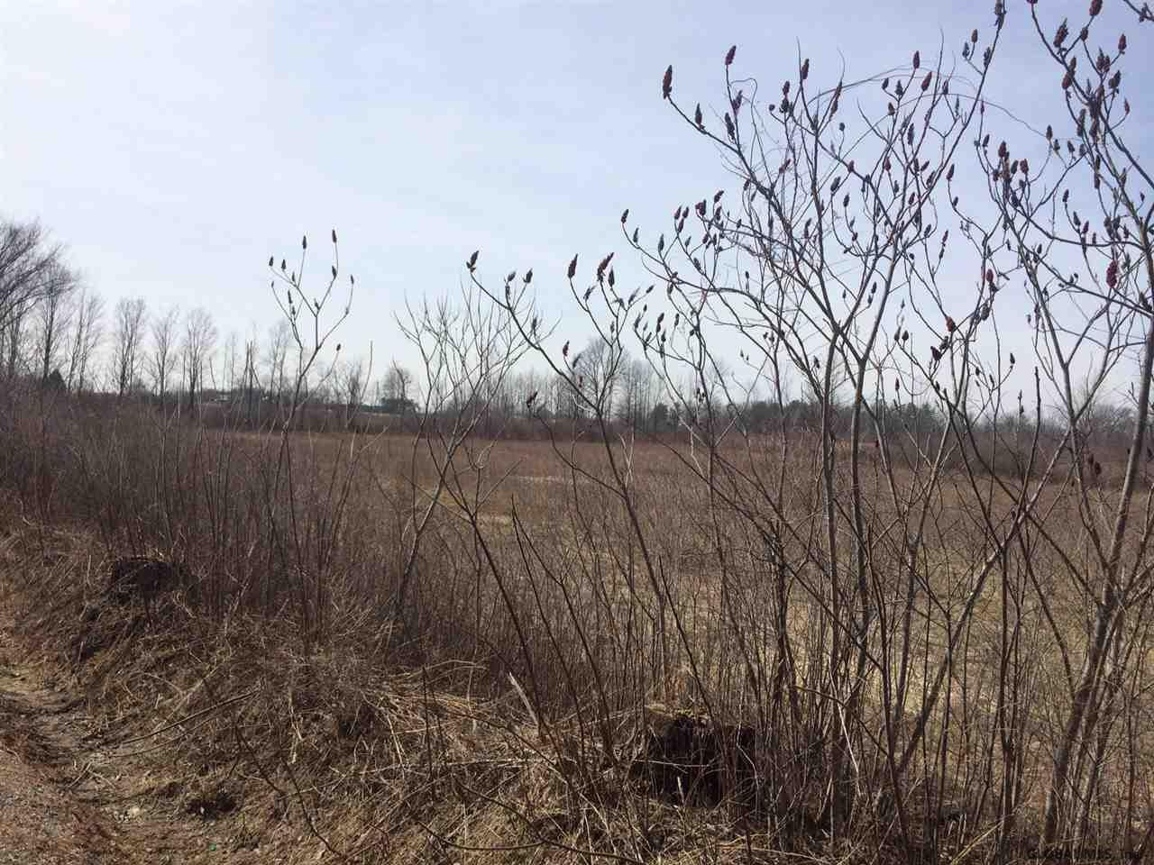 60 Middleline Road Ballston, NY 12020 - Photo 5 of 6 Photo 5