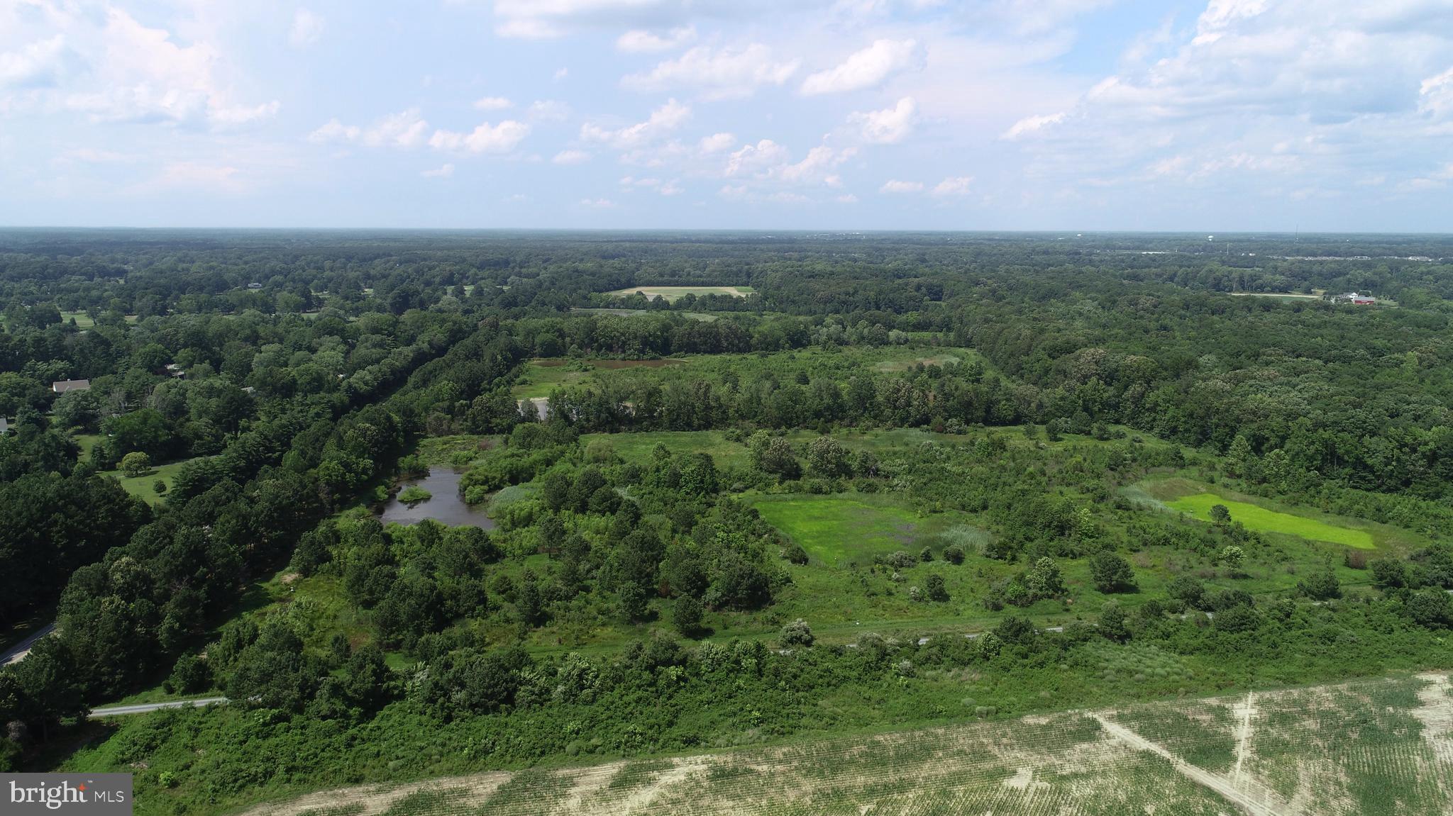 6150 Oxford Road Easton, MD 21601 - Photo 3 of 52 an aerial view of houses covered in trees