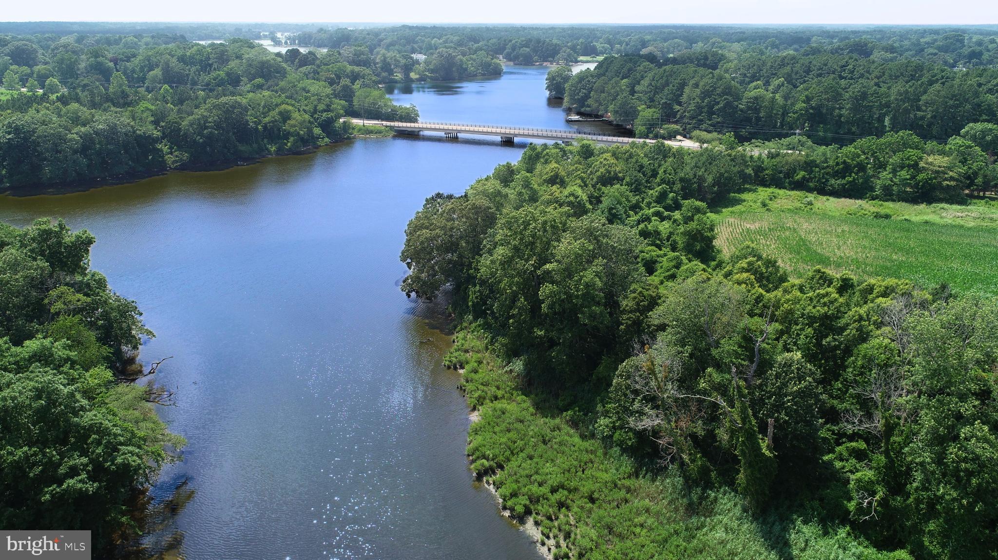 6150 Oxford Road Easton, MD 21601 - Photo 50 of 52 an aerial view of a house with a yard and lake view